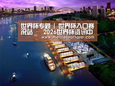 案例展示八