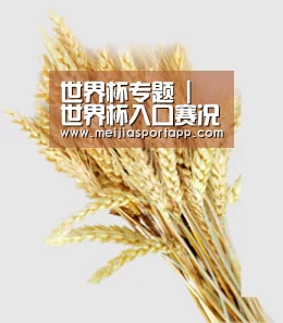 世界杯专题 | 世界杯入口赛况站 - 2026世界杯资讯中心