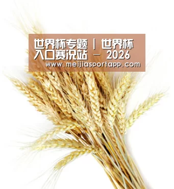 世界杯专题 | 世界杯入口赛况站 - 2026世界杯资讯中心