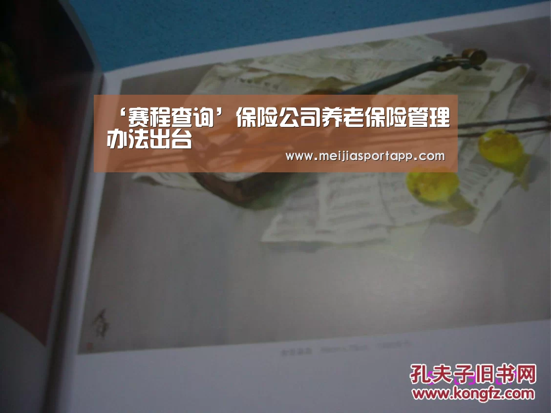 ‘赛程查询’保险公司养老保险管理办法出台(图3) 赛程查询