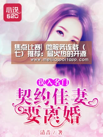 焦点比赛|
微服务连载(七)推荐:最火热的开源微服务框架(图4) 中文资讯