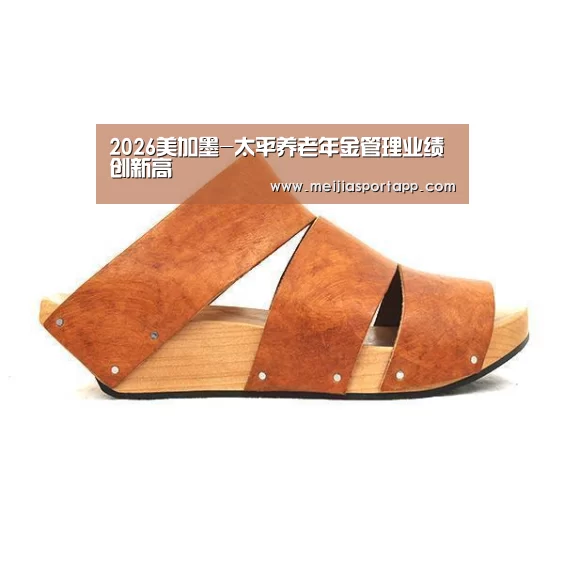 2026美加墨-太平养老年金管理业绩创新高(图2) 焦点比赛