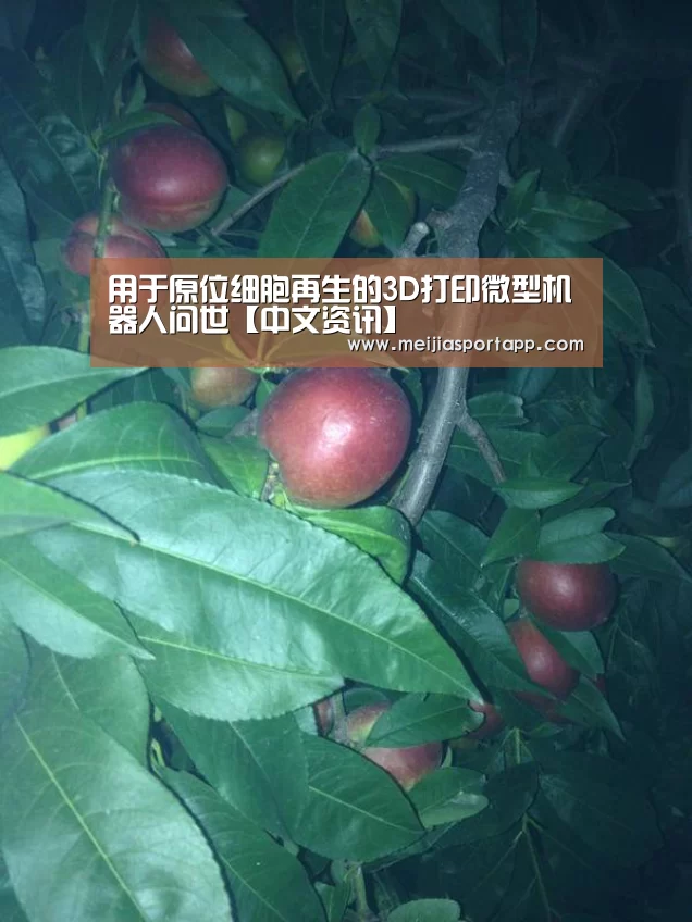 中文资讯