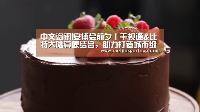 中文资讯|安博会前夕丨千视通&比特大陆算硬结合,助力打造城市级解决方案中心(图4) 赛程查询