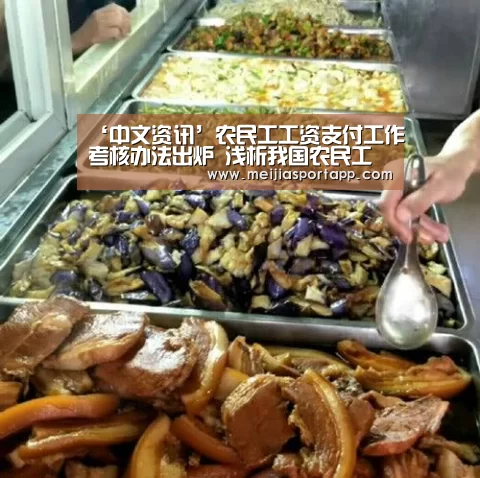 ‘中文资讯’农民工工资支付工作考核办法出炉 浅析我国农民工就业及收入情况(图3) 中文资讯