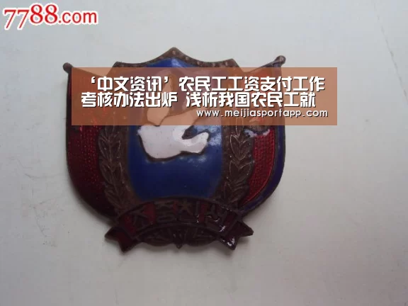 ‘中文资讯’农民工工资支付工作考核办法出炉 浅析我国农民工就业及收入情况(图2) 2026美加墨