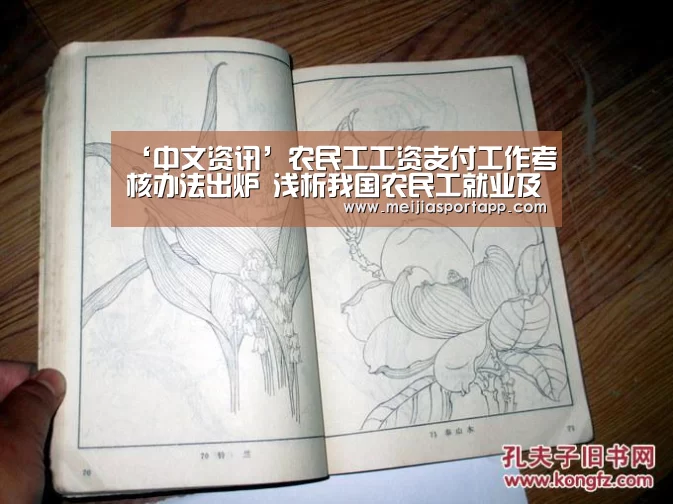 ‘中文资讯’农民工工资支付工作考核办法出炉 浅析我国农民工就业及收入情况(图1) 中文资讯