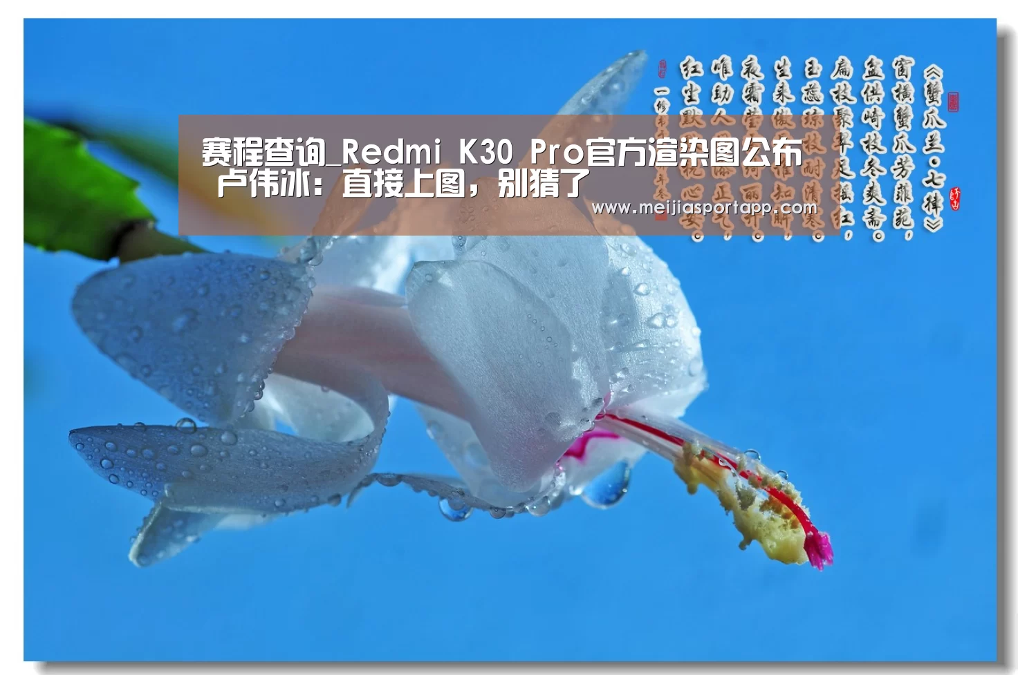 赛程查询_Redmi K30 Pro官方渲染图公布 卢伟冰:直接上图,别猜了(图2) 赛程查询
