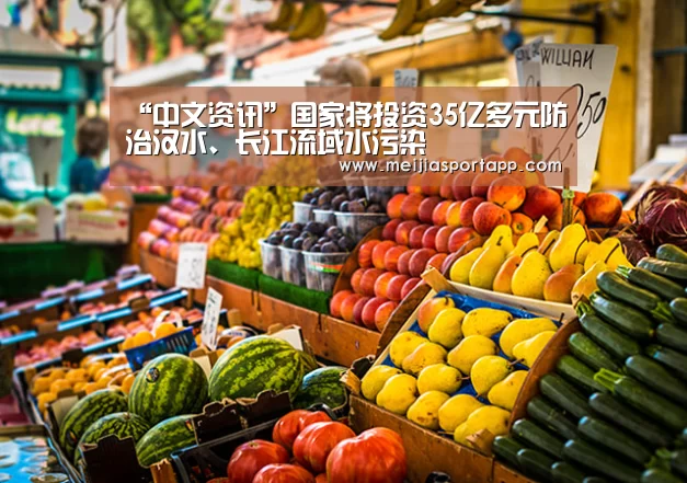 2026美加墨